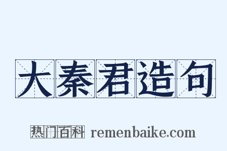 大秦君造句是什么意思的图片